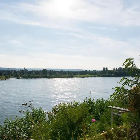 公寓 Direkt Am Rhein In Bei Koblenz *