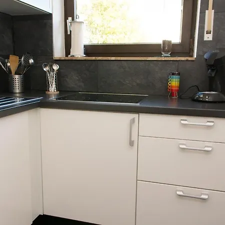 Direkt Am Rhein In Bei Koblenz * Neuwied