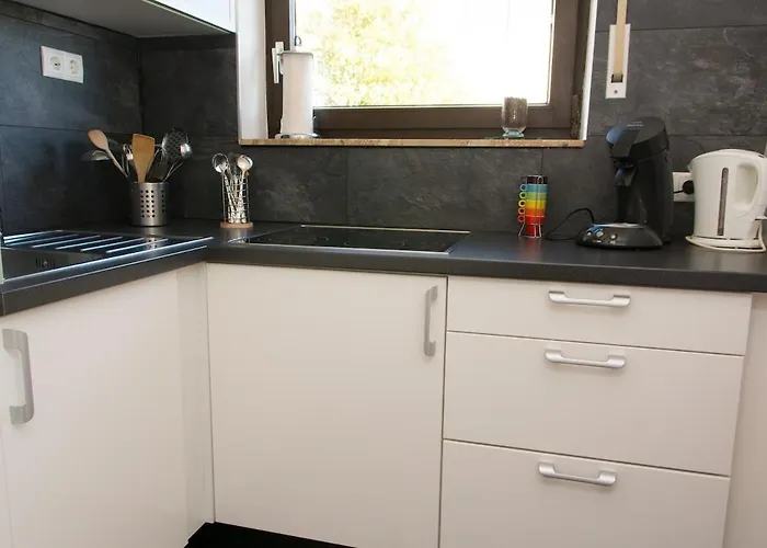 Direkt Am Rhein In Bei Koblenz * 新维德