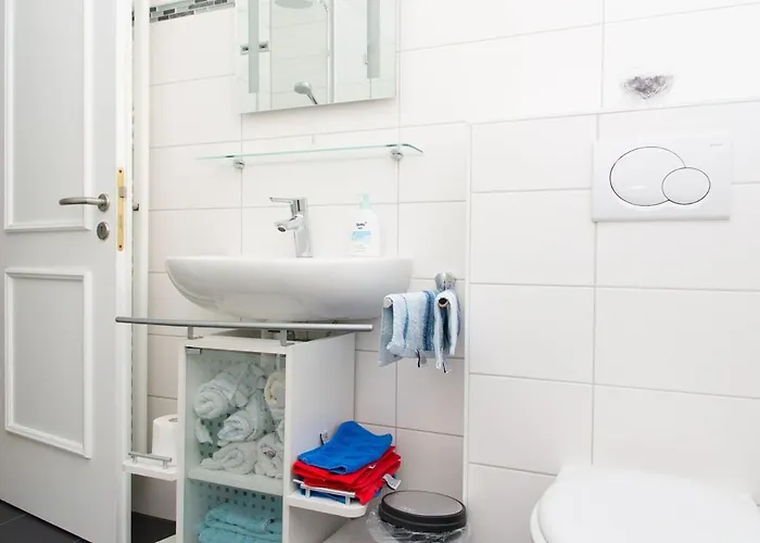 Direkt Am Rhein In Bei Koblenz 新维德