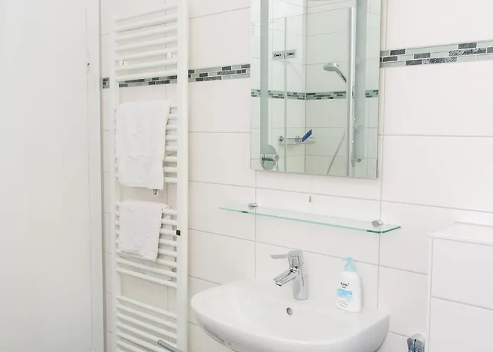 Direkt Am Rhein In Bei Koblenz