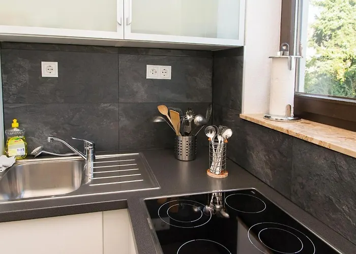 Direkt Am Rhein In Bei Koblenz *